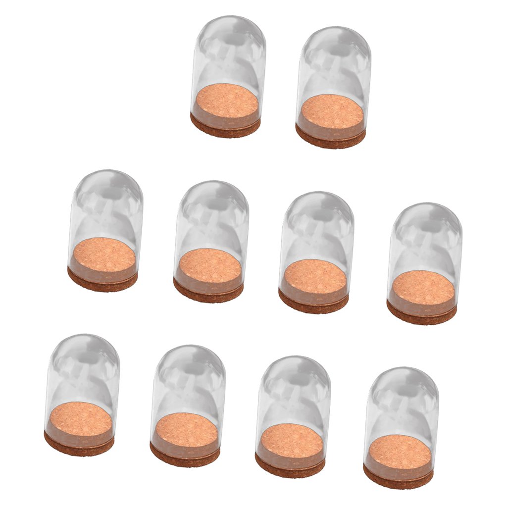 Amazon.co.jp: ミニ ガラス ドームカバー コルクベース ドライフラワー